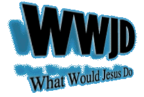What Would Jesus Do?  A fictionized account of the last two months of the life of Dot Seguin, the wife of a dear freind of mine.  Dot, you are not forgotten... the message has been delivered.